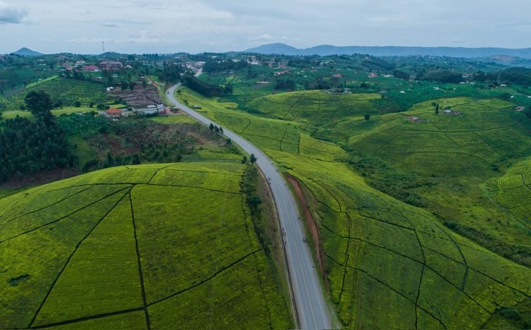 Lush green hills and countryside in Uganda